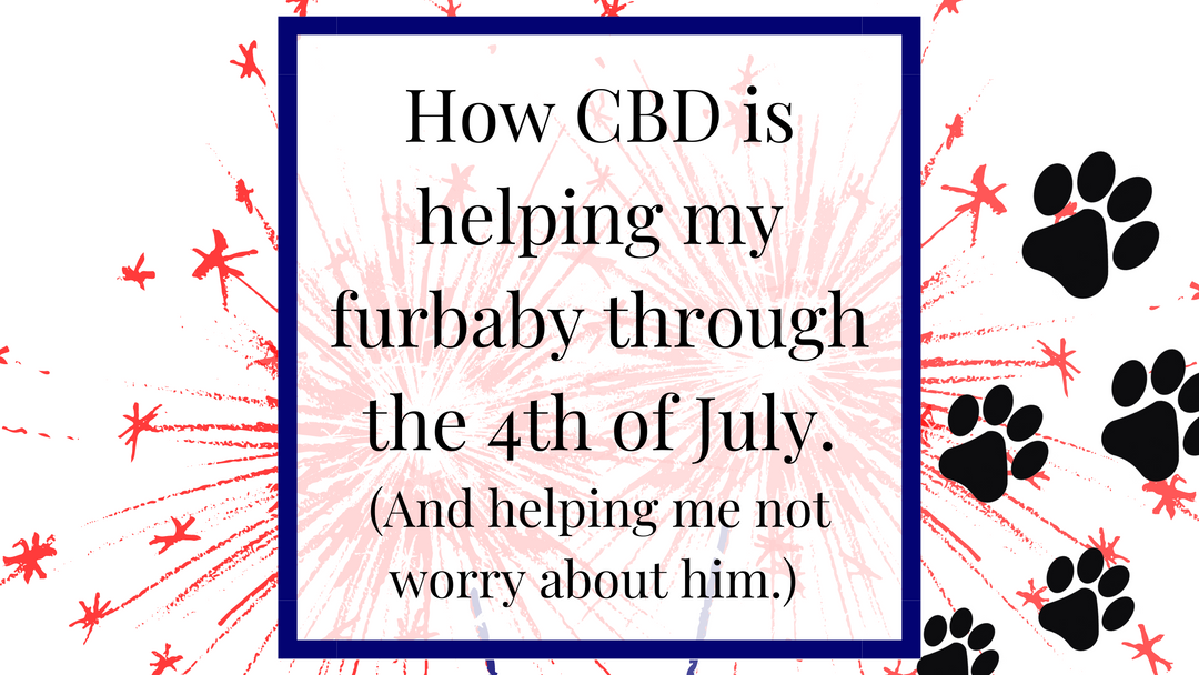 CBD and Pets for the 4th of July