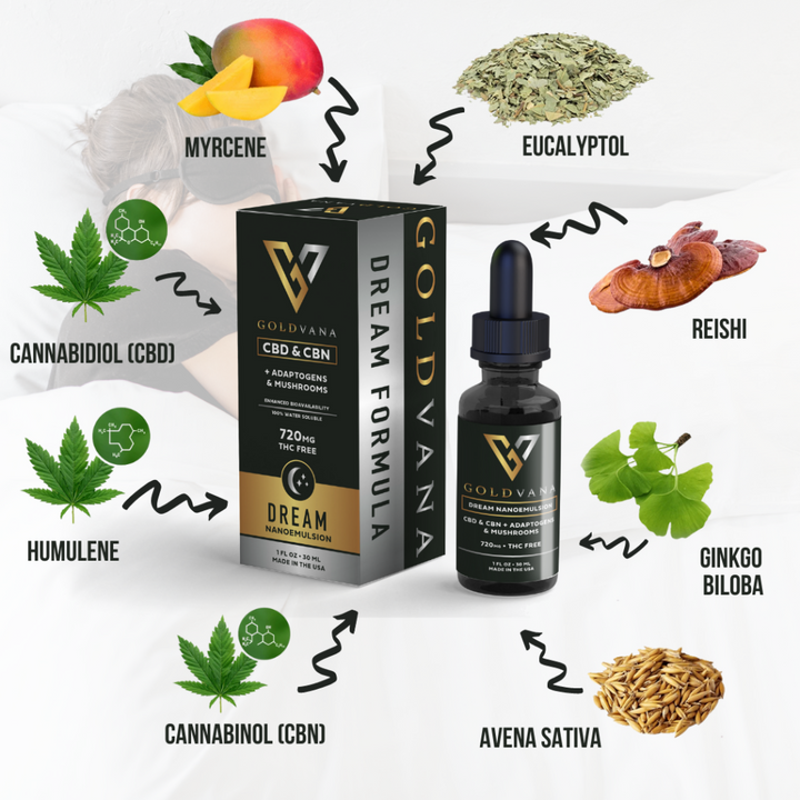 Dream CBD CBN Nootropics Tincture - Goldvana