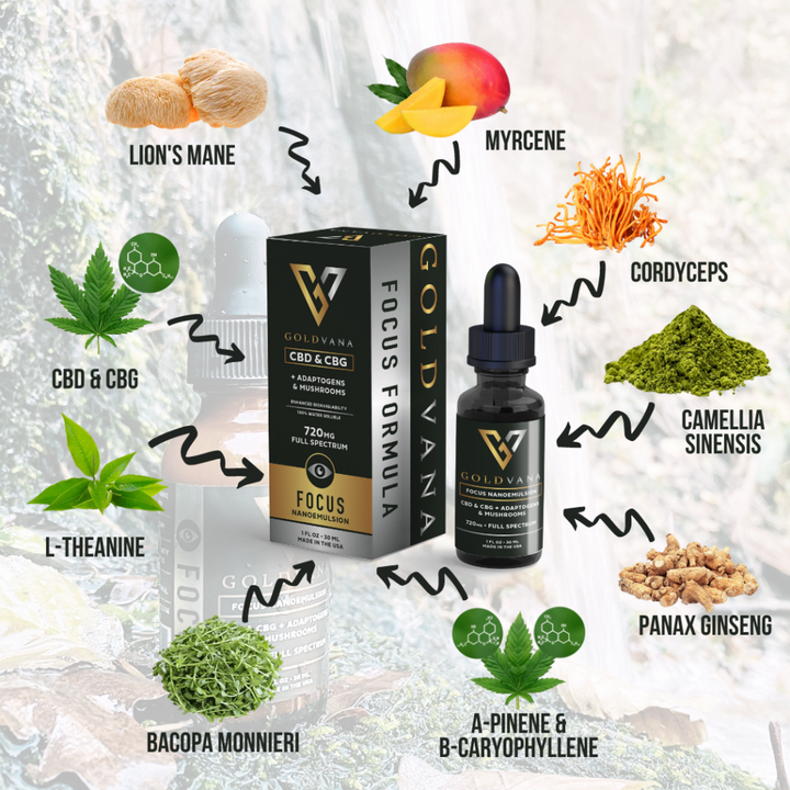 Focus CBD CBG Nootropics Tincture - Goldvana