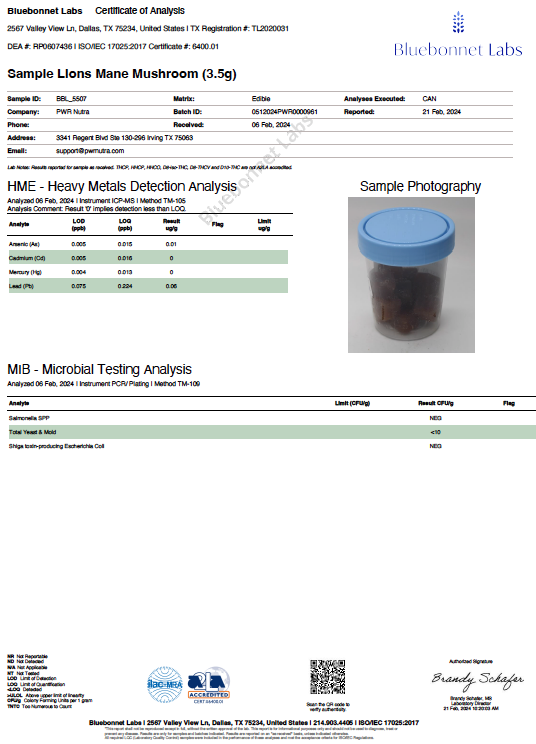 Lion's Mane Gummies - PWR Nutra