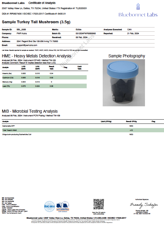 Turkey Tail Gummies - PWR Nutra